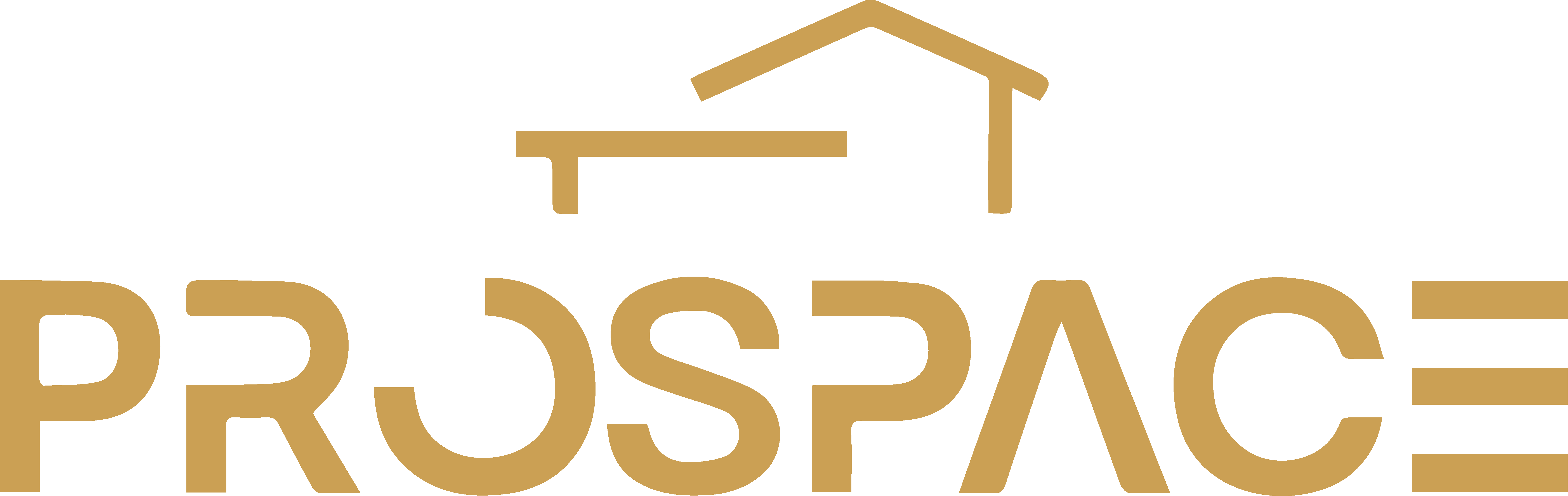 ProSpace